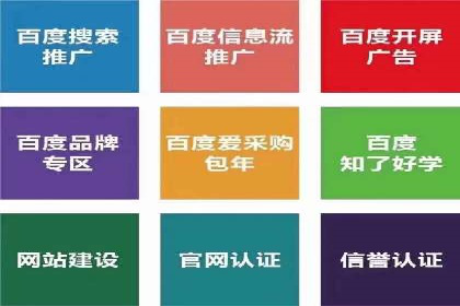 竞价SEM案例分享：行业霸主崛起之路